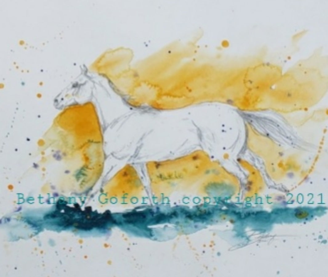 Splash of Summer