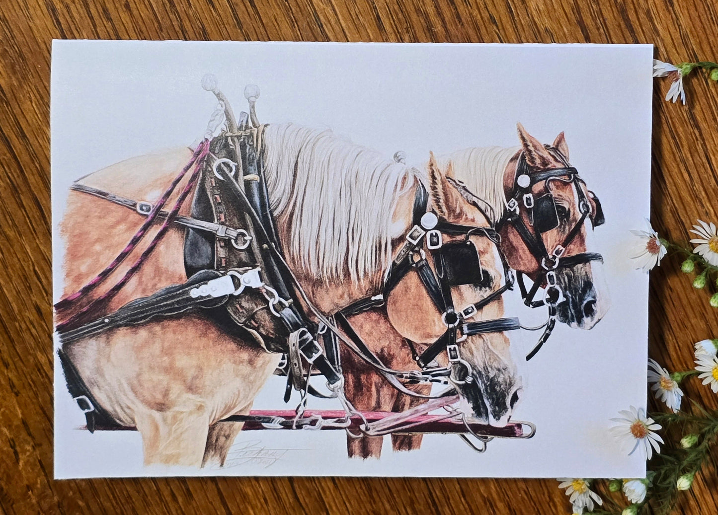 Chubby & Felix Note Card