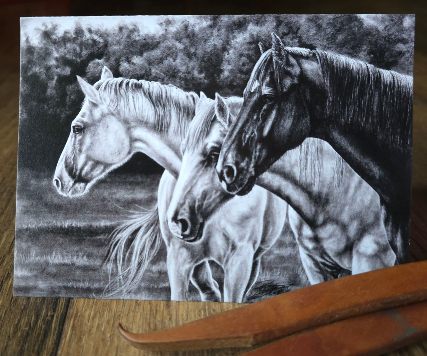Two Greys and a Bay Note Card