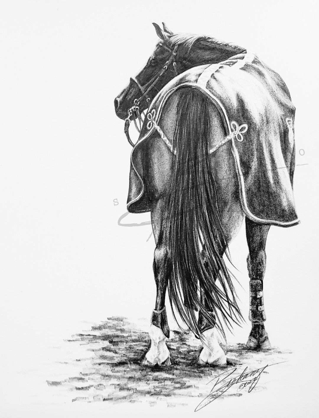 "Patiently Waiting" Print