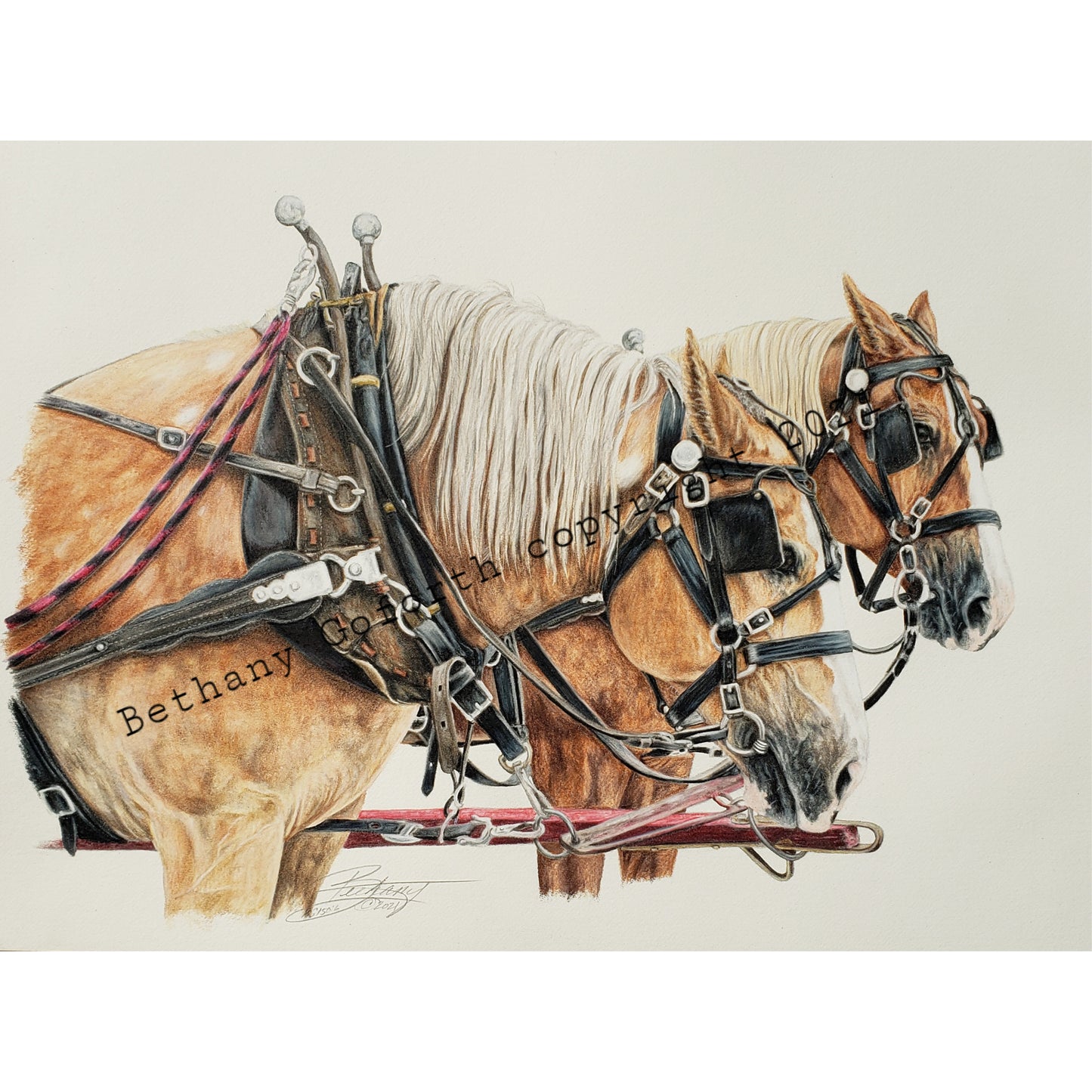 Chubby and Felix Print