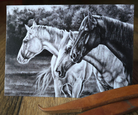 Two Greys and a Bay Note Card