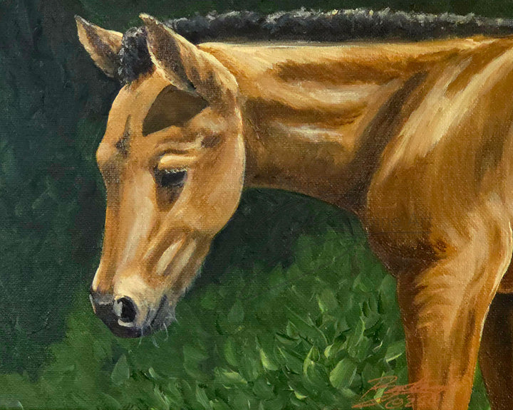 Chincoteague Sunshine
