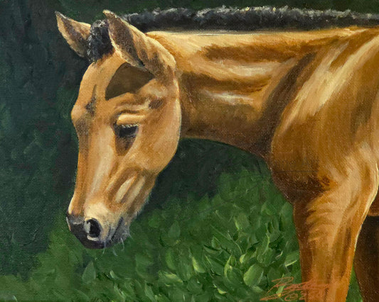 Chincoteague Sunshine