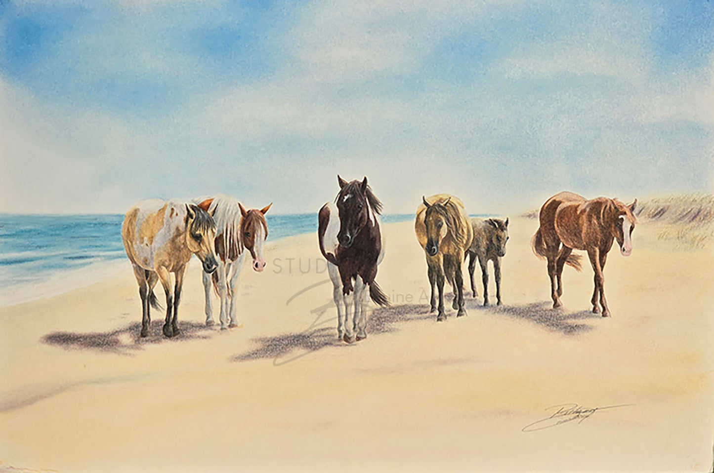 Saltwater Mares