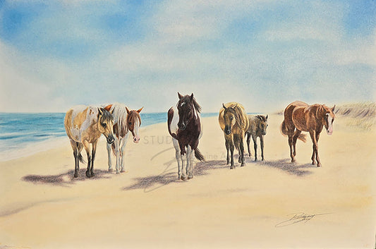 Saltwater Mares